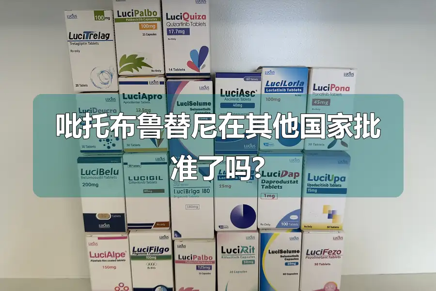 吡托布鲁替尼在其他国家批准了吗?